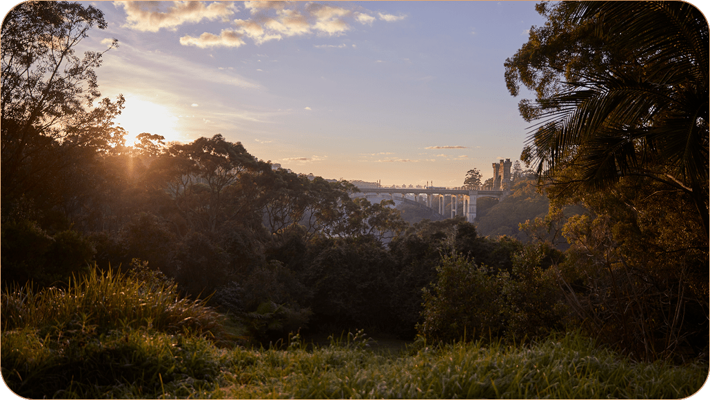 Image of City Skyline 